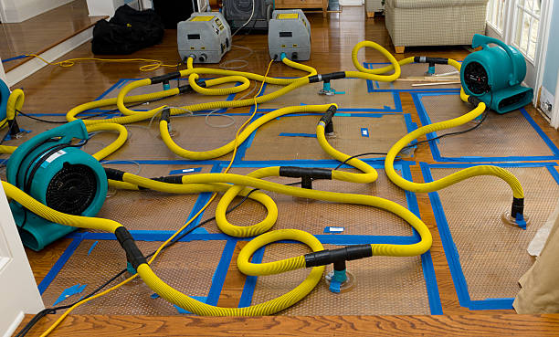 Professional Structural Drying And Dehumidification technician working in Cornelius, NC